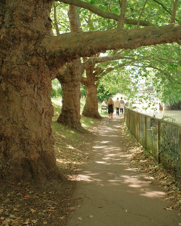 Ware riverside