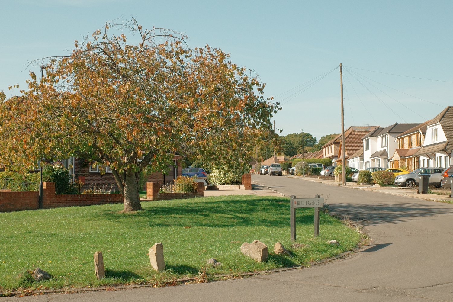 Homes in Crews Hill